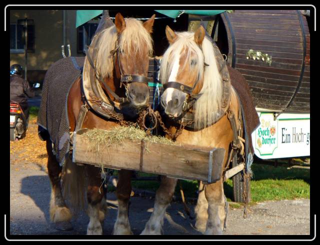Letztes Bild erreicht