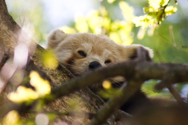 Letztes Bild erreicht